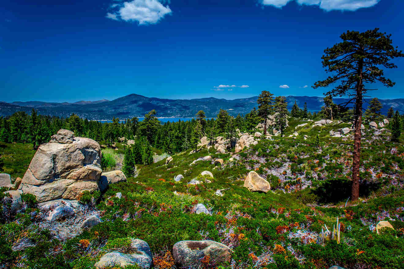 Where to Stay in Big Bear 6 DREAMY Spots (With Prices!)